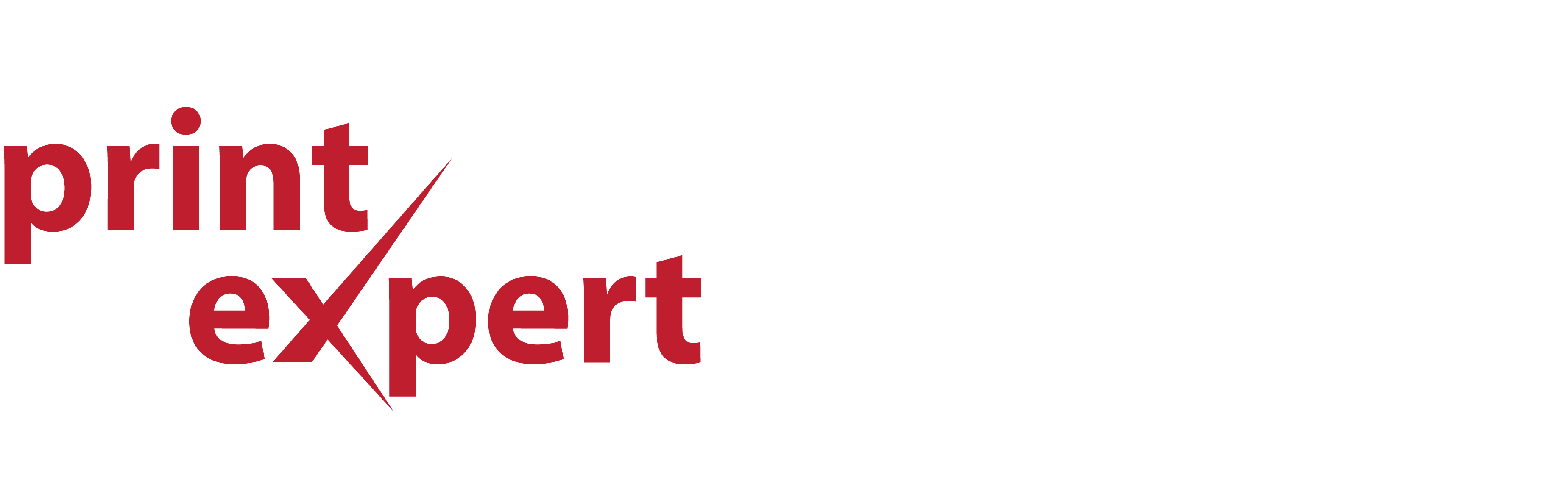 The Print Expert