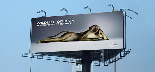 Billboards and 3D Signs